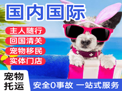 乌兰察布集宁机场邮寄国际宠物托运 【国